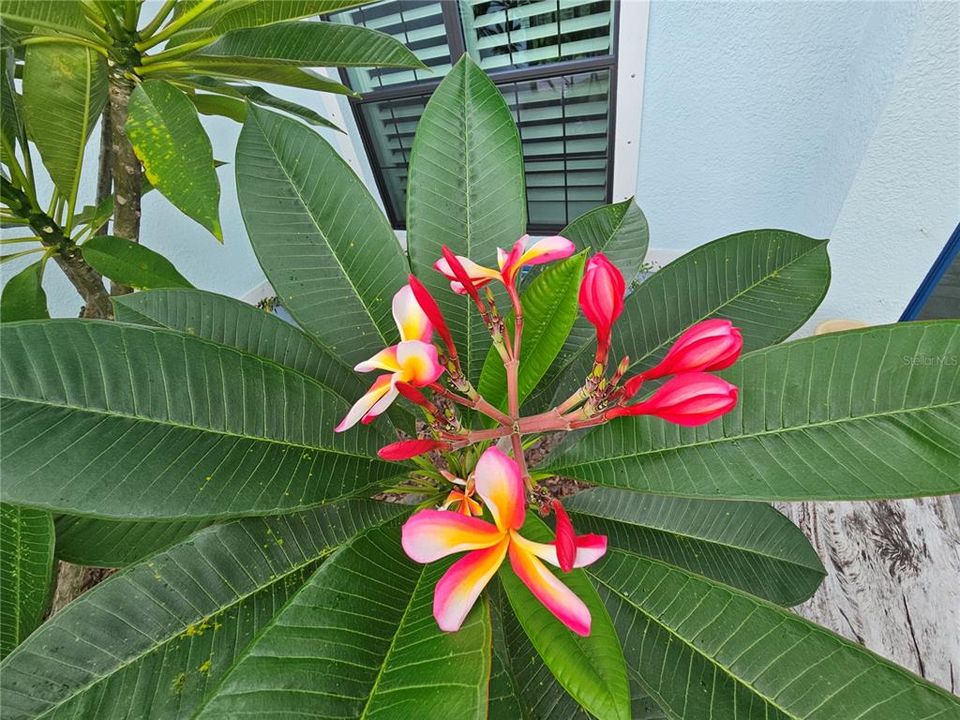 Activo con contrato: $617,777 (3 camas, 2 baños, 2170 Pies cuadrados)