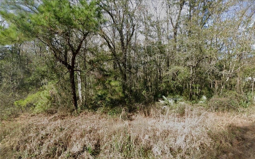 На продажу: $22,500 (1.15 acres)