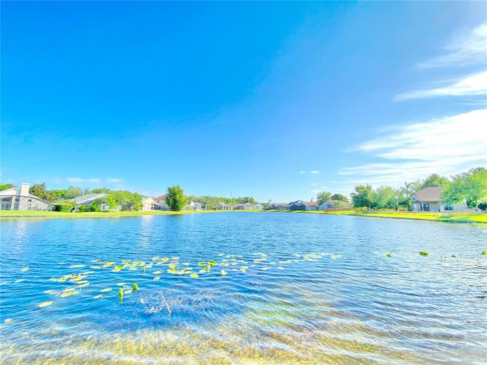 En Renta: $2,200 (3 camas, 2 baños, 1451 Pies cuadrados)