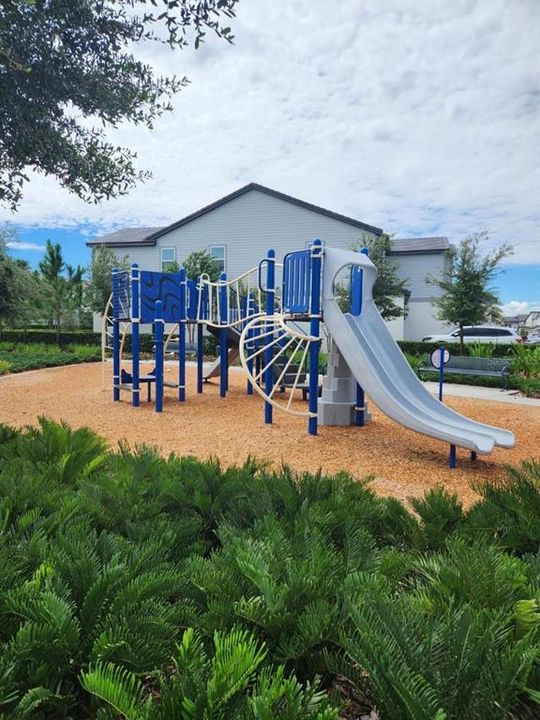 出租: $5,900 (5 贝兹, 4 浴室, 3878 平方英尺)