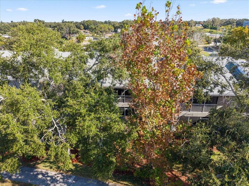 For Sale: $380,000 (2 beds, 2 baths, 1250 Square Feet)