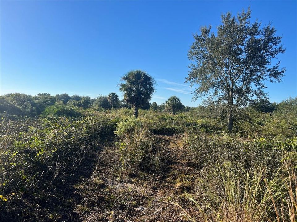 待售: $35,000 (1.25 acres)