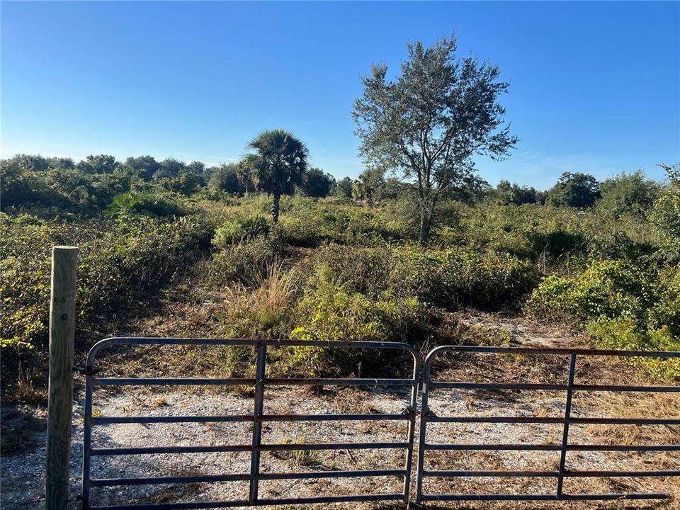 For Sale: $35,000 (1.25 acres)