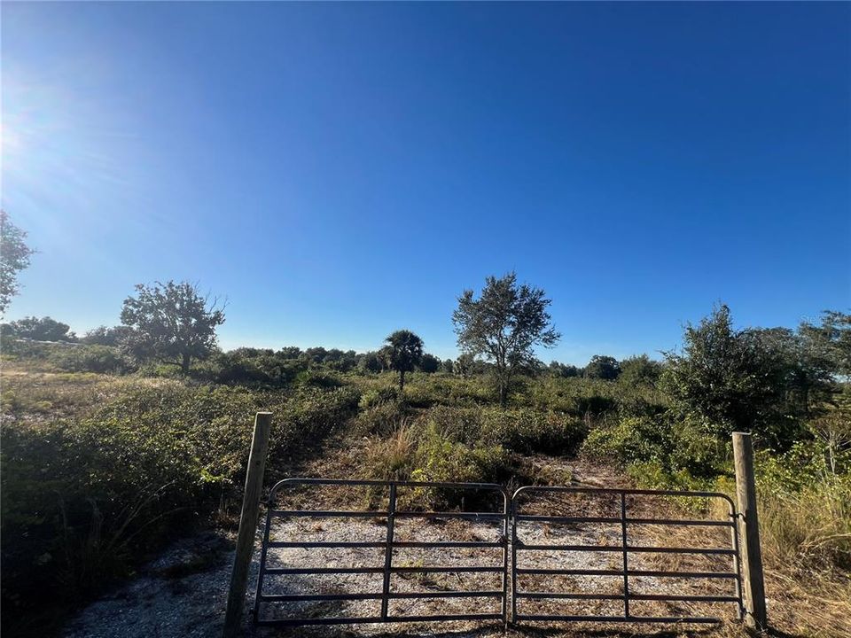 待售: $35,000 (1.25 acres)