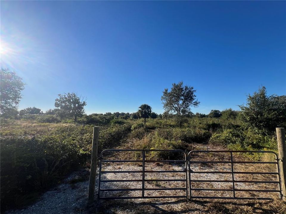 待售: $35,000 (1.25 acres)