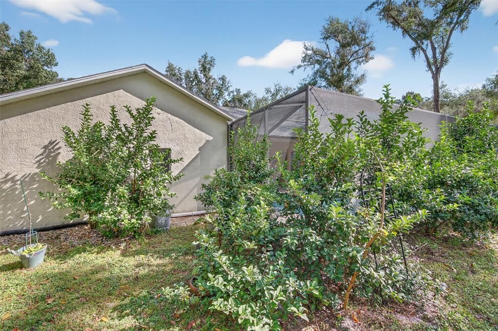 En Venta: $480,000 (3 camas, 2 baños, 1920 Pies cuadrados)