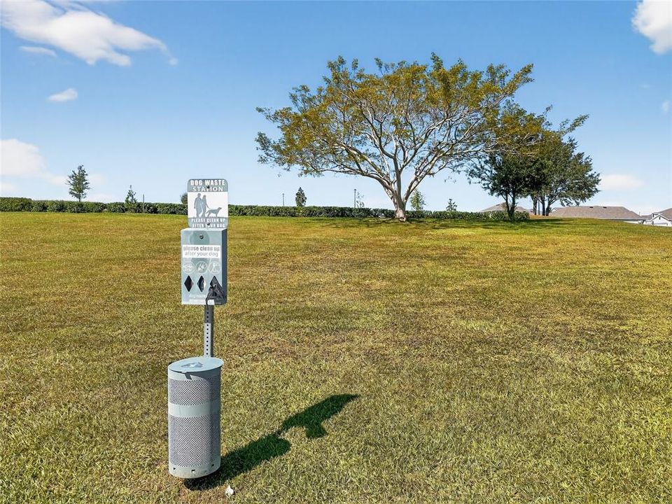 Activo con contrato: $415,000 (4 camas, 2 baños, 3031 Pies cuadrados)