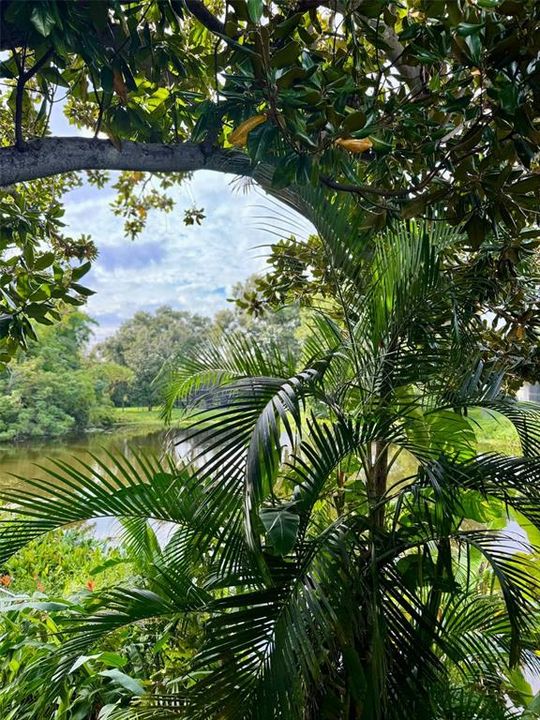 出租: $5,000 (3 贝兹, 2 浴室, 2312 平方英尺)