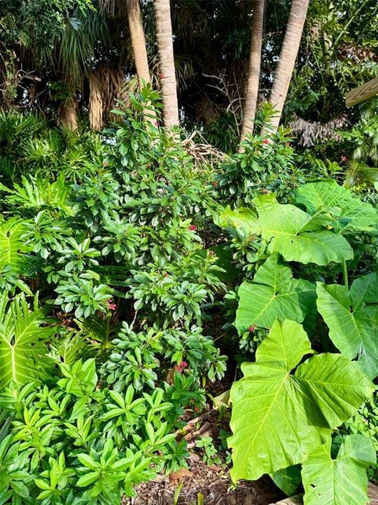 出租: $5,000 (3 贝兹, 2 浴室, 2312 平方英尺)