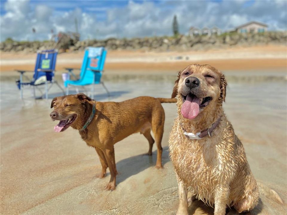 На продажу: $194,500 (1 спален, 1 ванн, 945 Квадратных фут)