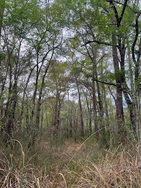 For Sale: $39,900 (1.16 acres)