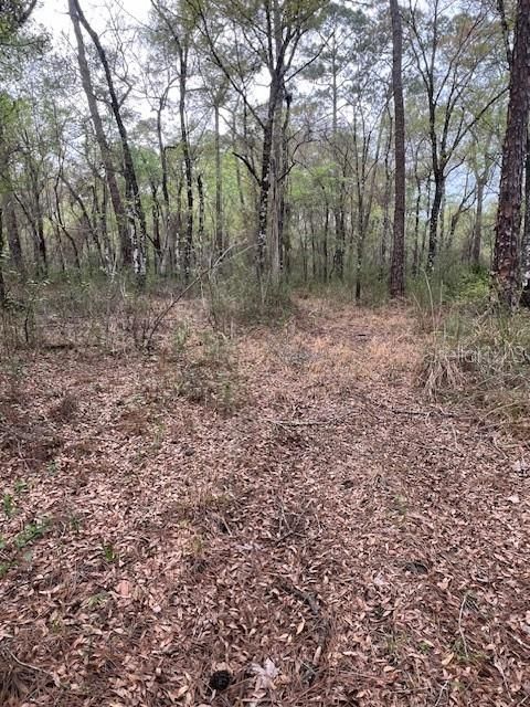 For Sale: $39,900 (1.16 acres)