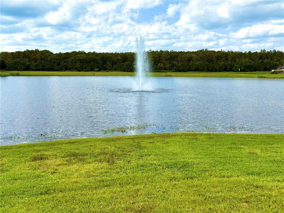 For Rent: $3,450 (5 beds, 3 baths, 3497 Square Feet)