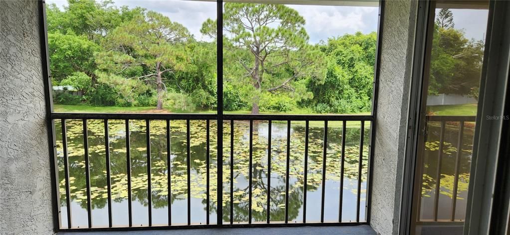 For Rent: $1,850 (2 beds, 2 baths, 960 Square Feet)