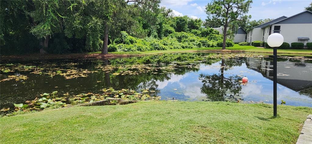 For Rent: $1,850 (2 beds, 2 baths, 960 Square Feet)