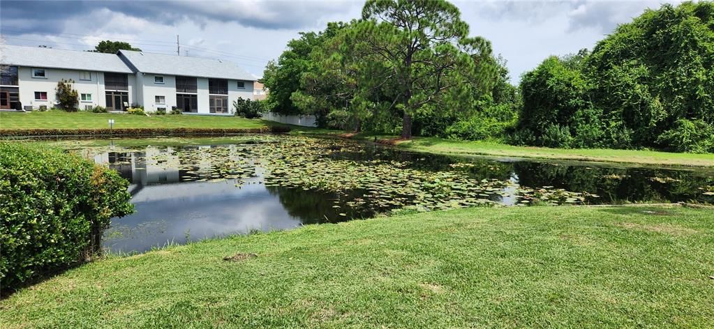 For Rent: $1,850 (2 beds, 2 baths, 960 Square Feet)