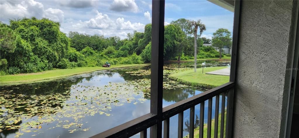 For Rent: $1,850 (2 beds, 2 baths, 960 Square Feet)