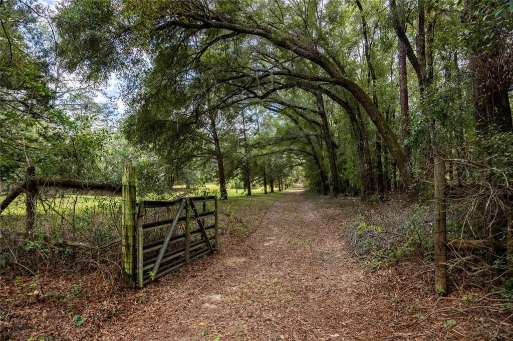 Active With Contract: $199,900 (3 beds, 1 baths, 1519 Square Feet)