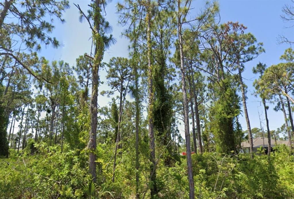 待售: $29,999 (0.23 acres)