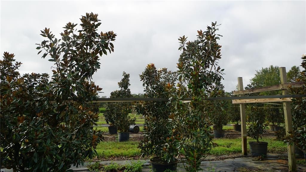 For Sale: $2,900,000 (0 beds, 0 baths, 0 Square Feet)