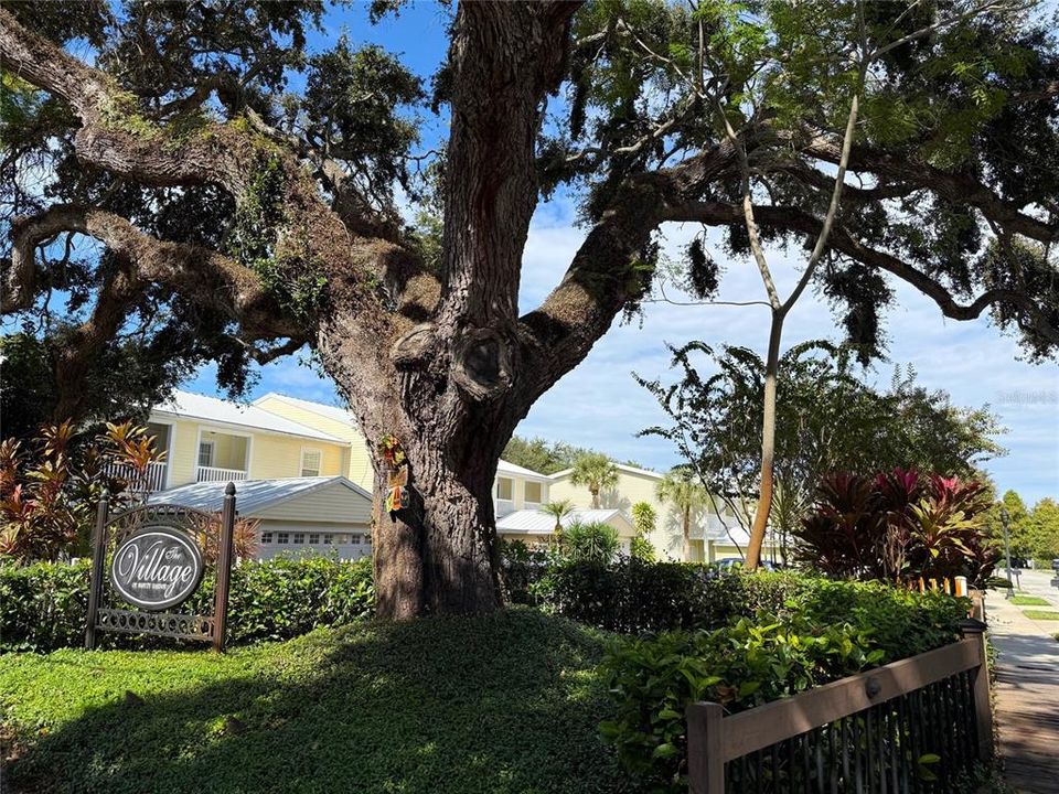 Activo con contrato: $439,000 (3 camas, 2 baños, 2049 Pies cuadrados)