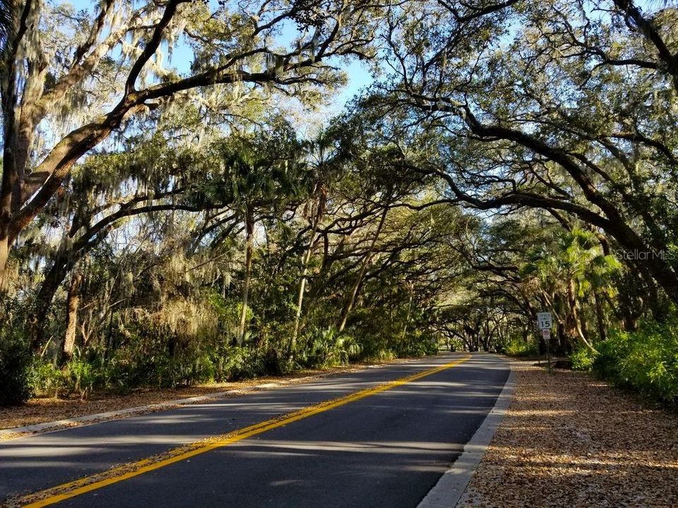 Activo con contrato: $439,000 (3 camas, 2 baños, 2049 Pies cuadrados)