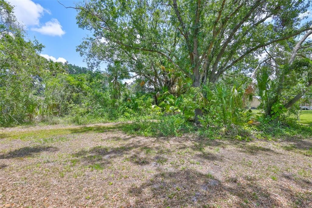 合同活跃: $799,000 (9.40 acres)