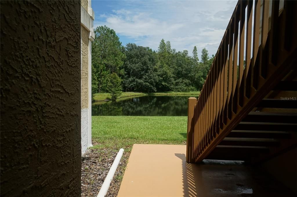 合同活跃: $1,250 (1 贝兹, 1 浴室, 894 平方英尺)