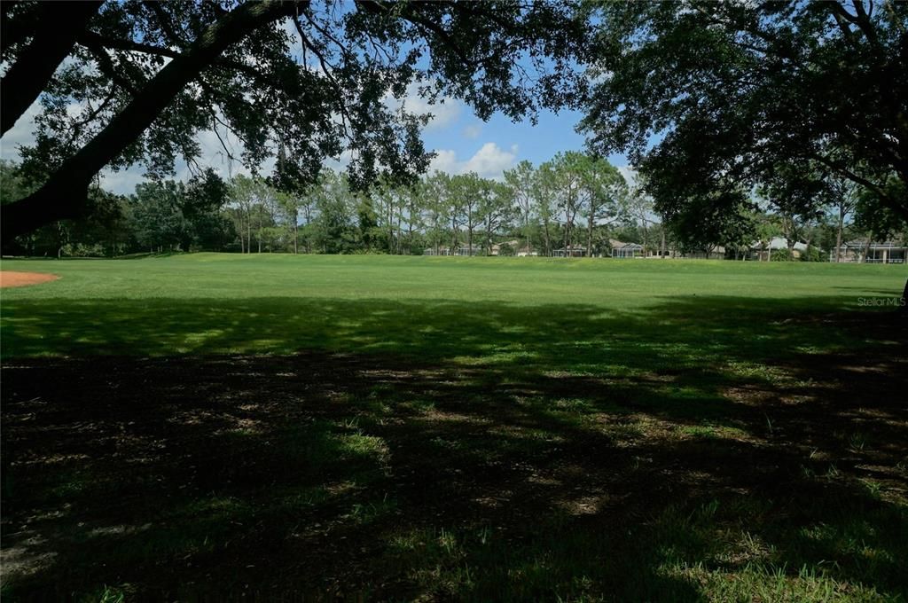 合同活跃: $1,250 (1 贝兹, 1 浴室, 894 平方英尺)