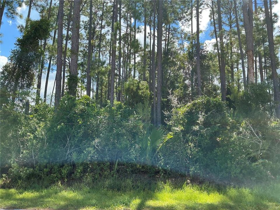 待售: $88,000 (0.32 acres)