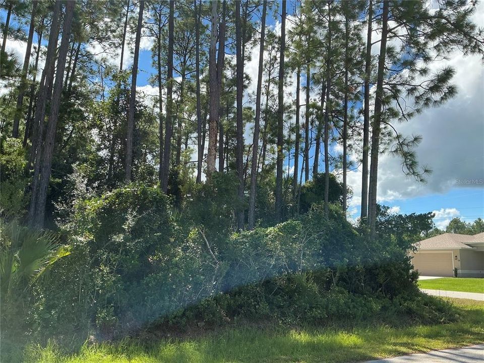 待售: $88,000 (0.32 acres)