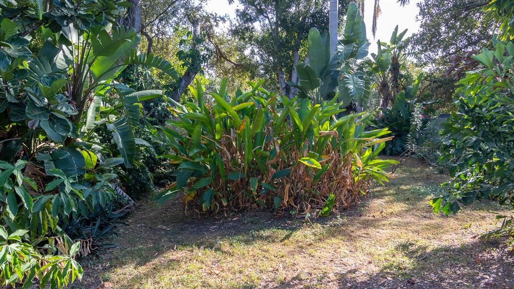 For Sale: $374,777 (3 beds, 2 baths, 1156 Square Feet)