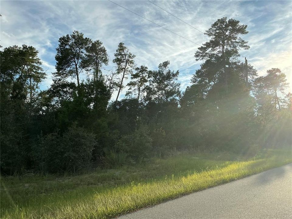 На продажу: $68,000 (0.62 acres)