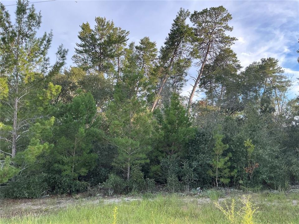 На продажу: $68,000 (0.62 acres)