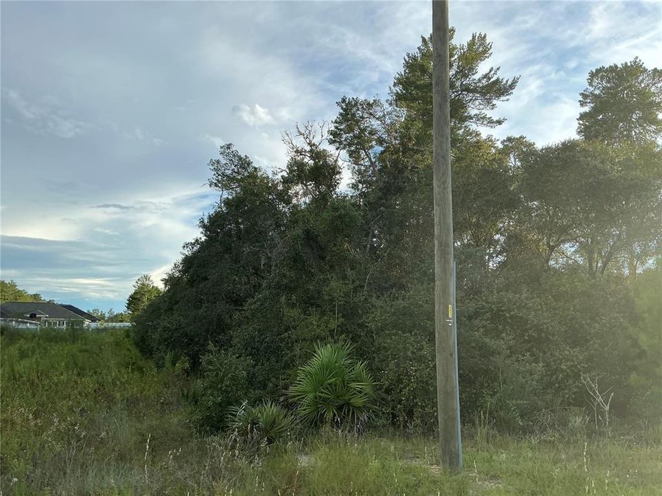 На продажу: $68,000 (0.62 acres)