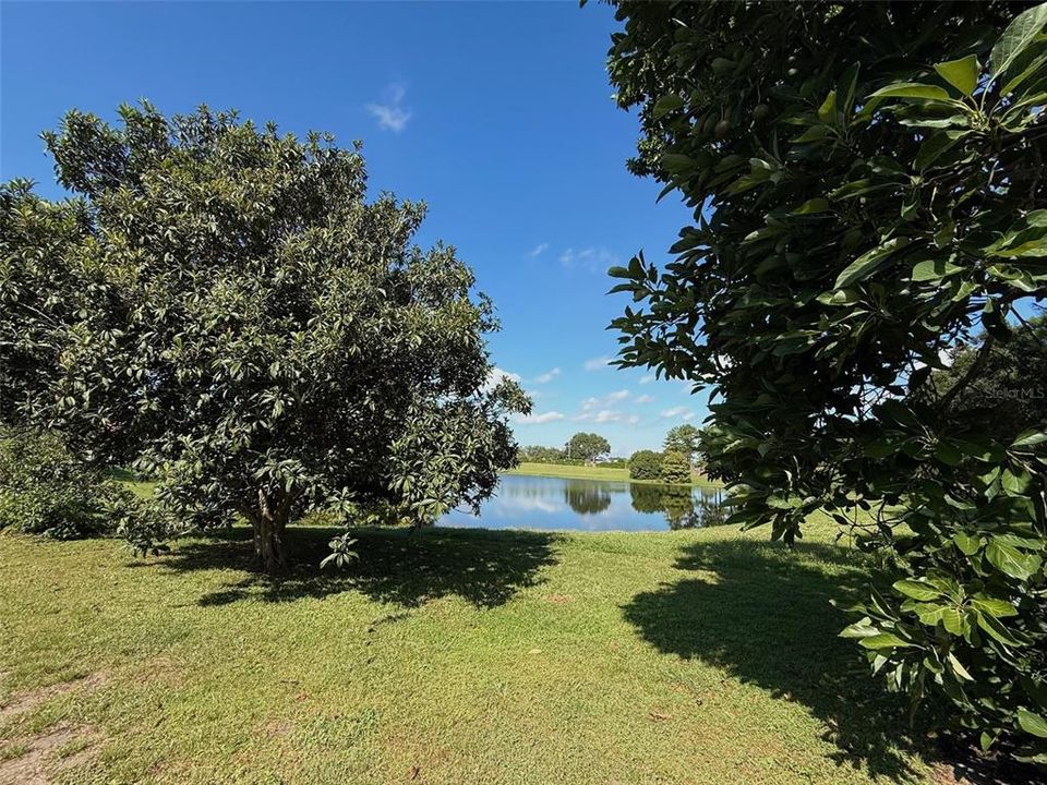 For Rent: $4,800 (6 beds, 4 baths, 3424 Square Feet)