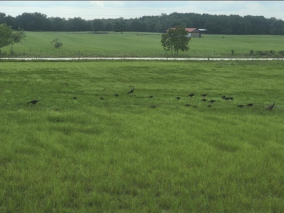 На продажу: $354,489 (4 спален, 2 ванн, 2260 Квадратных фут)