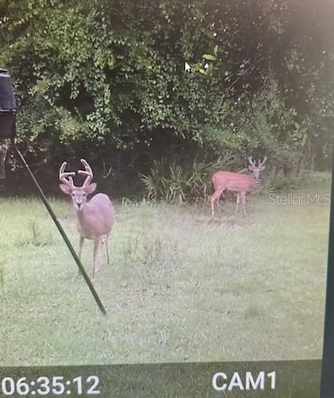 На продажу: $1,049,900 (3 спален, 4 ванн, 2258 Квадратных фут)