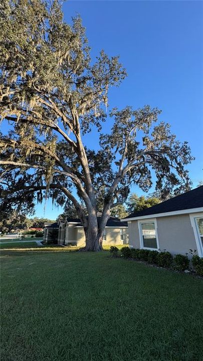 For Sale: $334,900 (4 beds, 2 baths, 1766 Square Feet)