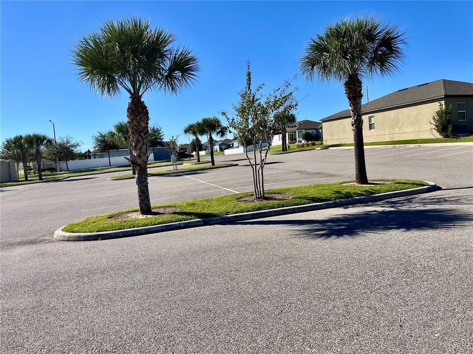 出租: $2,250 (4 贝兹, 2 浴室, 1600 平方英尺)