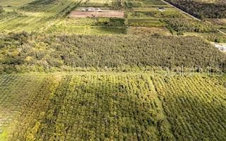 合同活跃: $390,000 (10.20 acres)