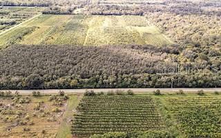 合同活跃: $390,000 (10.20 acres)