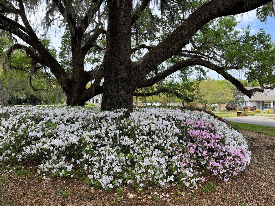 For Sale: $949,900 (4 beds, 3 baths, 3284 Square Feet)