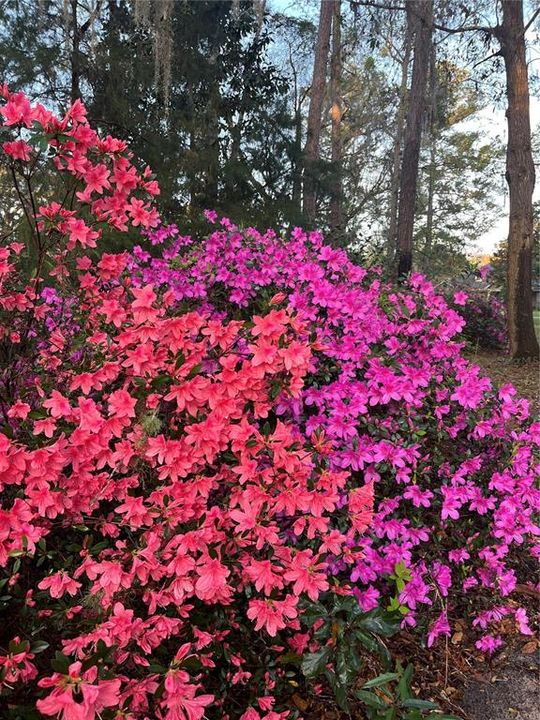 For Sale: $949,900 (4 beds, 3 baths, 3284 Square Feet)