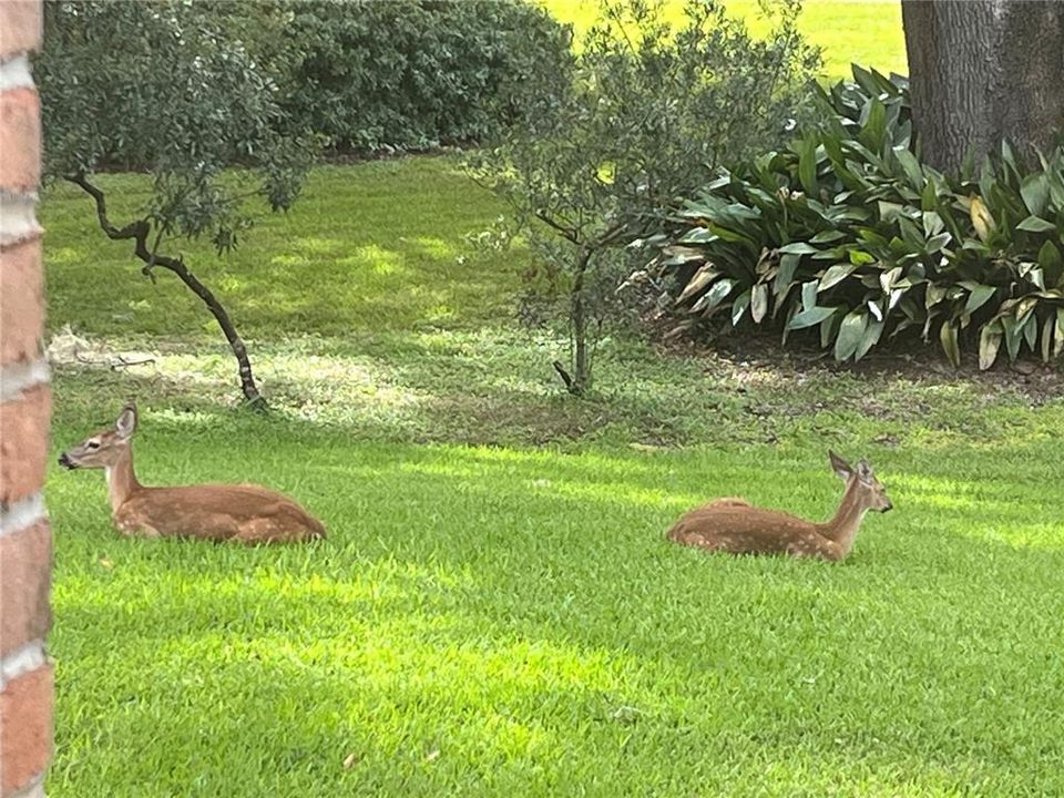 For Sale: $949,900 (4 beds, 3 baths, 3284 Square Feet)