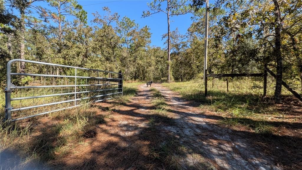 待售: $695,000 (5 贝兹, 3 浴室, 2915 平方英尺)