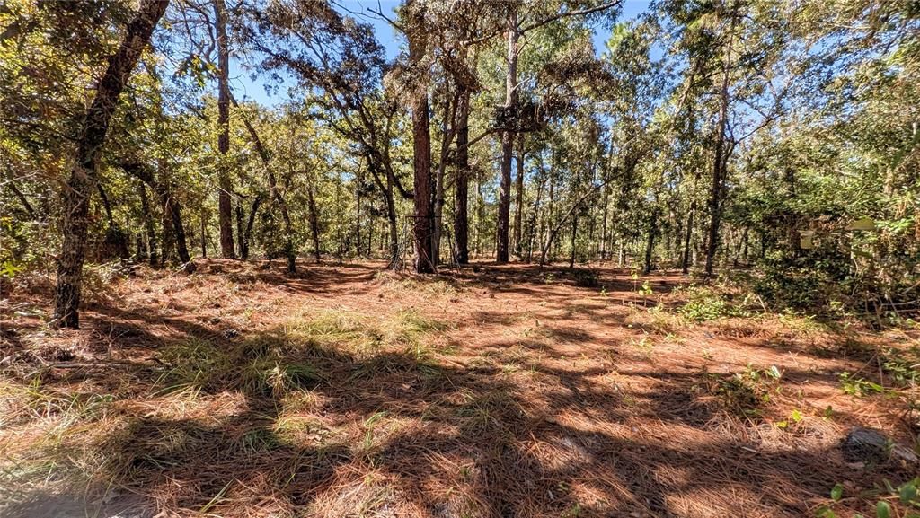 待售: $695,000 (5 贝兹, 3 浴室, 2915 平方英尺)