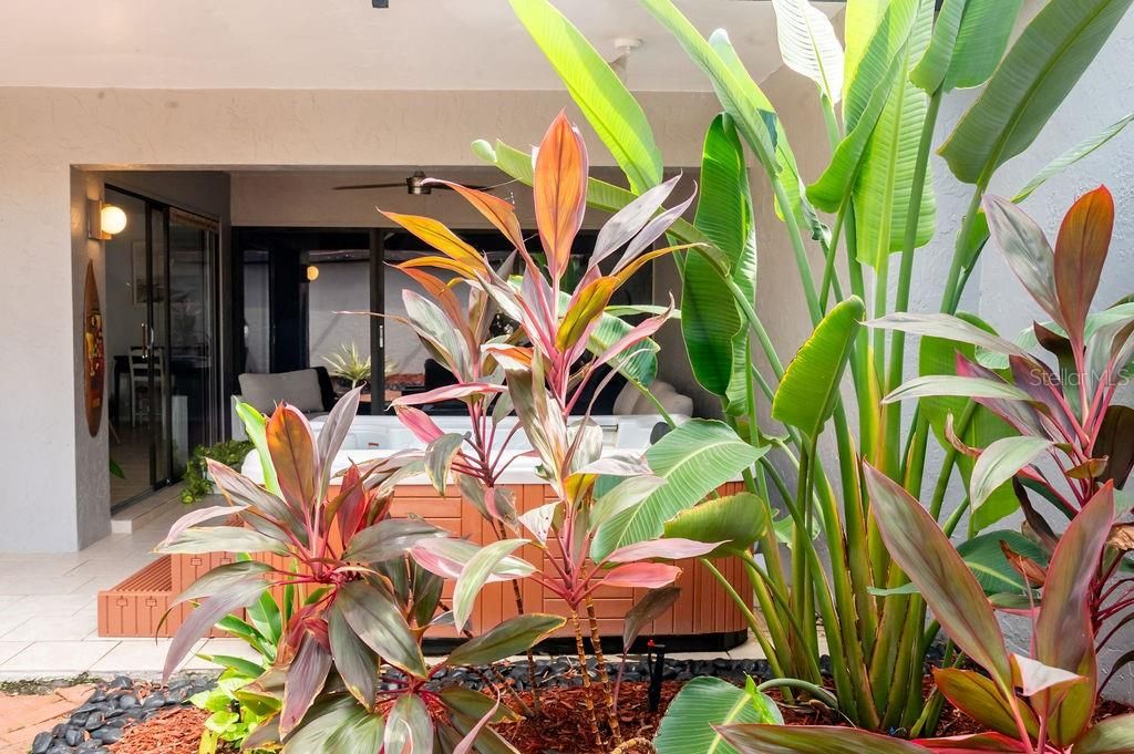 出租: $3,300 (2 贝兹, 2 浴室, 1630 平方英尺)