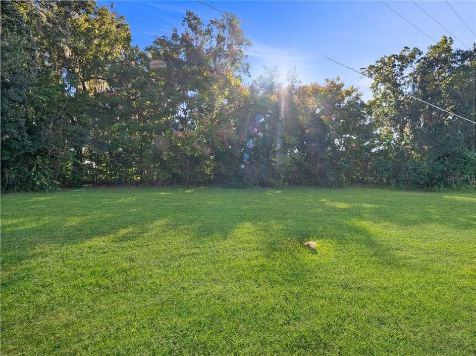 En Venta: $130,000 (0.51 acres)