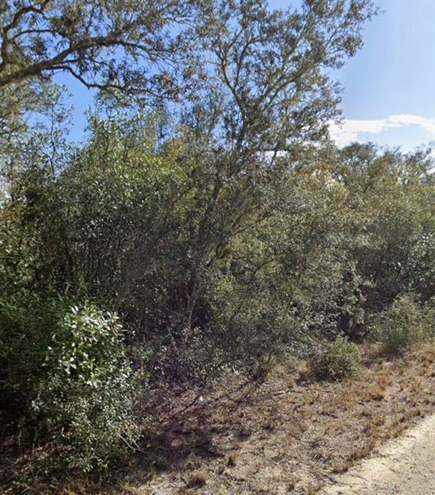 На продажу: $39,900 (1.15 acres)